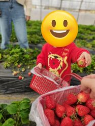 -蓝呗呗蓝莓草莓采摘园(通州区马驹桥店)