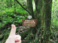 -西岭雪山大飞水景区