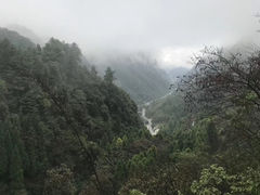 -娄山关景区
