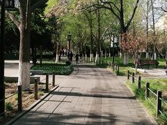 -宣武艺园