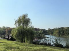 -南湖湿地公园