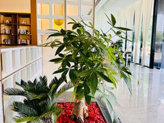 -成都锦华万达琉璃场亚朵酒店