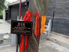 -关林