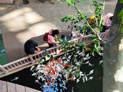 -南宫五洲植物乐园