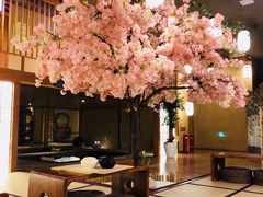 -汤泉良子(金源店)