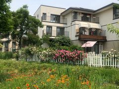 -田园东方蜜桃村的田野营地