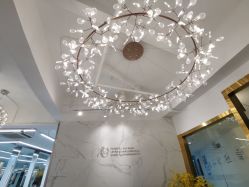 -潘多拉Hairsalon