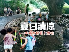 -成都市活水公园