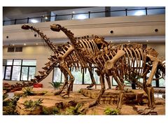 -自贡恐龙博物馆