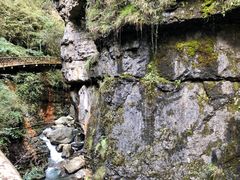 -鹿院坪生态旅游景区
