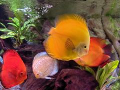 -上海海洋水族馆