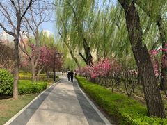 -迎泽公园