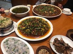 -功夫兔