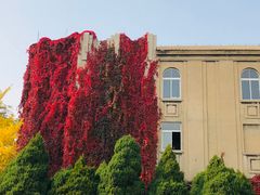 -辽宁大学(崇山校区)