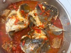 -风鑫铃罗非鱼(道沟店)