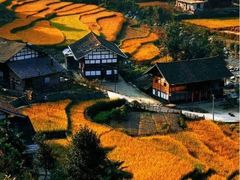 -紫鹊界梯田景区