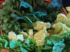 -老员外骨汤火锅(海州古城店)