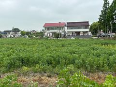 -小鱼草莓采摘园农家乐·小鱼餐厅