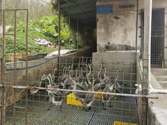 -红旗山庄(圭峰山店)