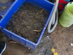 -重振华中蔬菜批发市场(重庆中路店)