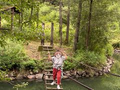 -五营红松林海景区