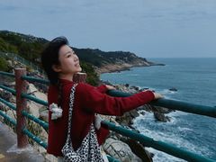 -广东惠东海龟国家级自然保护区