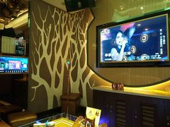 -艾尚主题式KTV(艾溪湖绿地店)