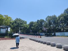 -合肥滨湖国家森林公园