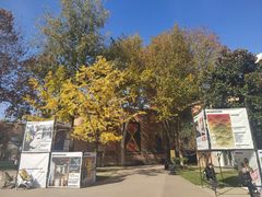 -西安电影制片厂