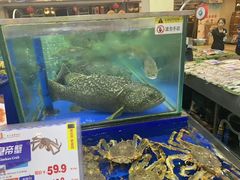 水产区-东江海鲜酒家(艺都分店)