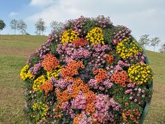 -品越  越南鸡粉(侨港店)