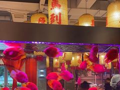 -朱光玉火锅馆(正弘城店)