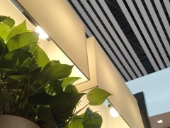 -肯德基(沧州高铁站店)
