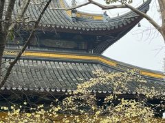 -西园戒幢律寺