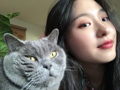 -海边的猫和咖啡馆