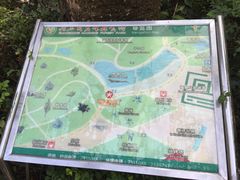 -广东茂名森林公园