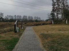 -桤木河湿地公园