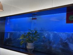 -老板恋上鱼(印象城店)