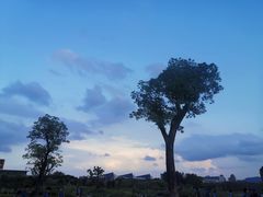 -浙江大学（紫金港校区）求是书院