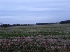 -嘉北郊野公园