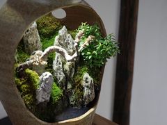 -月栖华明-云间草堂清茶馆(泗泾古镇店)