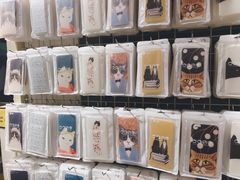 -猫咪博物馆(顶澳仔猫街店)