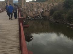 -世界恐龙谷景区