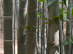 -敬亭山风景名胜区