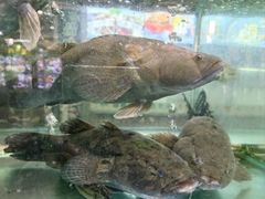 -绿雅居原生态农庄(小涌店)