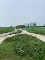 -水八仙生态园