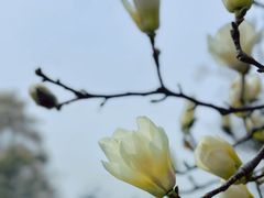 -国家图书馆·古籍馆