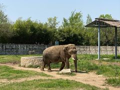 -西安秦岭野生动物园