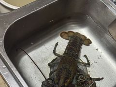 -永辉超市(龙湾万达店)