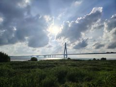 -芒洲湿地公园